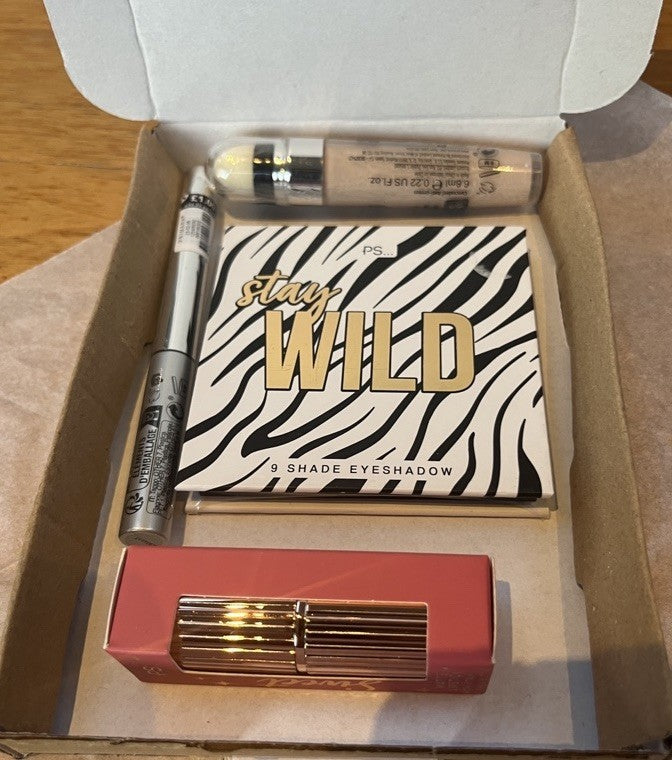 4 pce Make Up Set |Great Gift |Eyeshadow, Eyeliner, Lipstick Conc + Free Bag