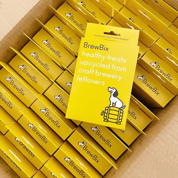 BrewBix Peanut Butter Dog Biscuit box - 100g - Litterly