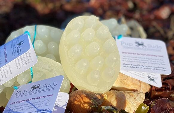 Dog Hamper - Litterly