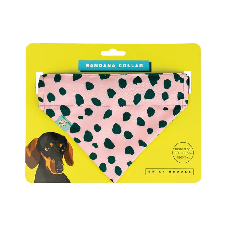 Doggy Bandana collar - Litterly