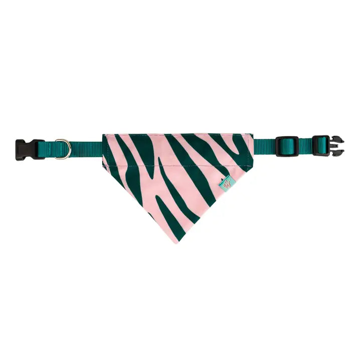 Doggy Bandana collar - Litterly