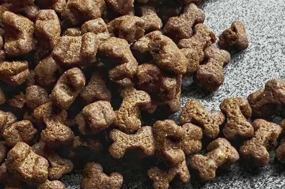 Pupsuds Tasty training treats in tin - Litterly