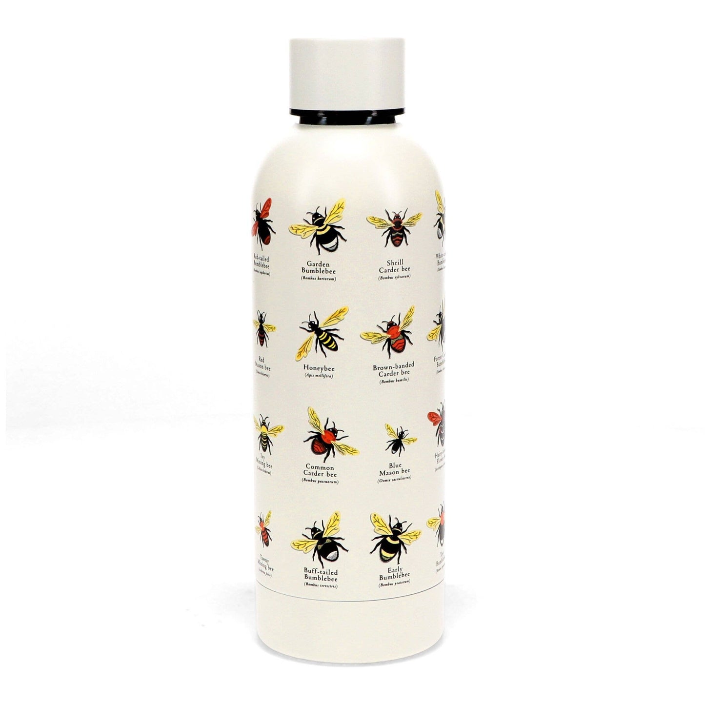 Stainless Steel Drinks Bottle 500ml - Garden Bees