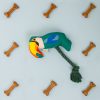 toucan pet toy